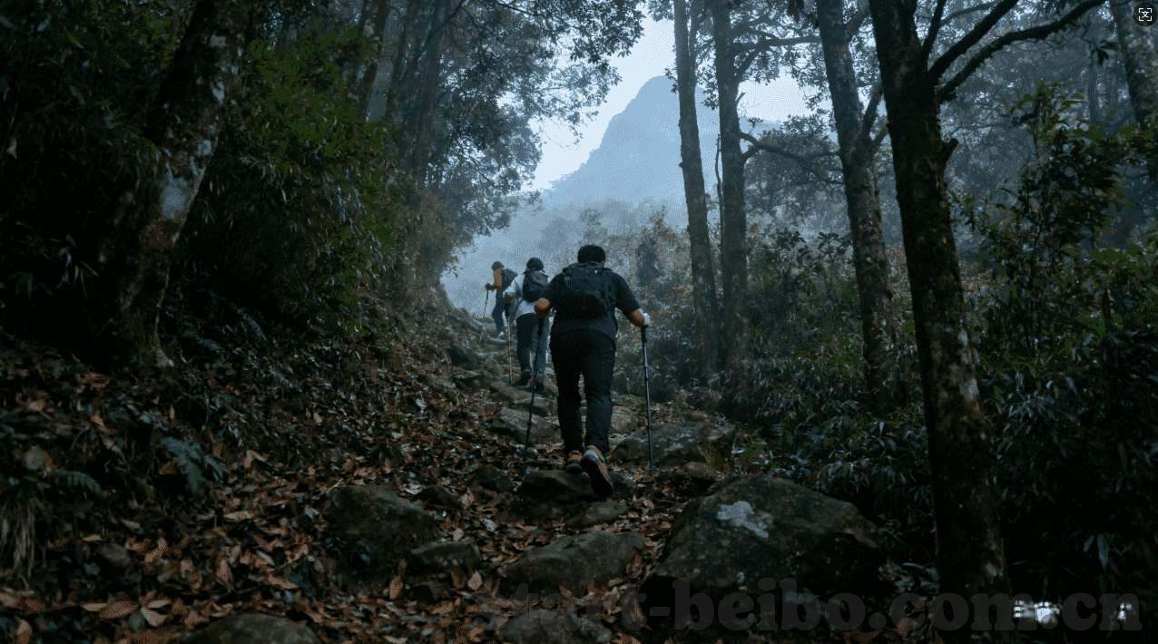 微信红包玩炸金花群-微信红包玩炸金花群，一场数字时代的社交新体验